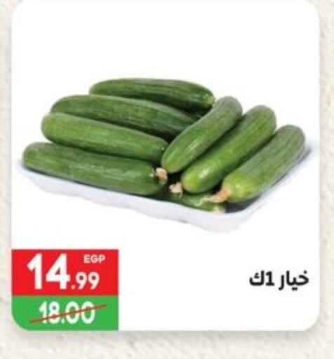Fresh Vegetables in Hyper El Mansoura Shobra, Egypt Offers - Egypt Cucumber available at Hyper El Mansoura Shobra in Egypt - Cairo
