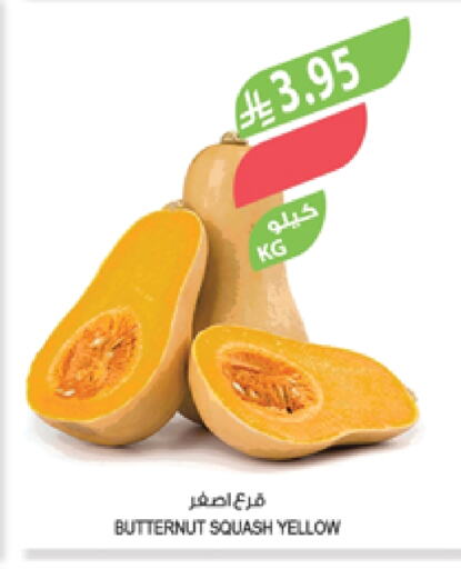 Fresh Vegetables in Farm , Saudi Arabia Offers - Saudi Arabia Squash available at Farm in KSA, Saudi Arabia, Saudi - Saihat