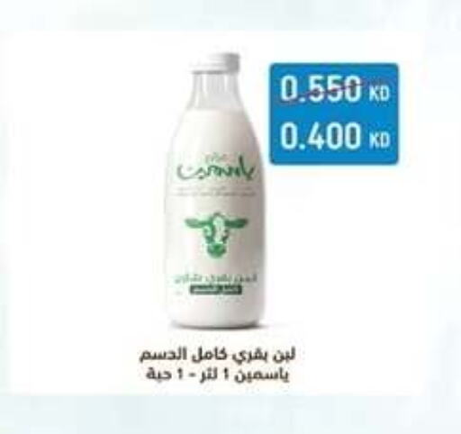 available at Eshbelia Co-operative Society in Kuwait - Kuwait City