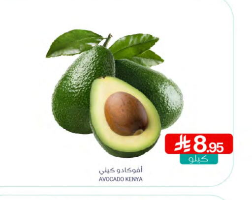 Avacado from Kenya available at Muntazah Markets in KSA, Saudi Arabia, Saudi - Qatif