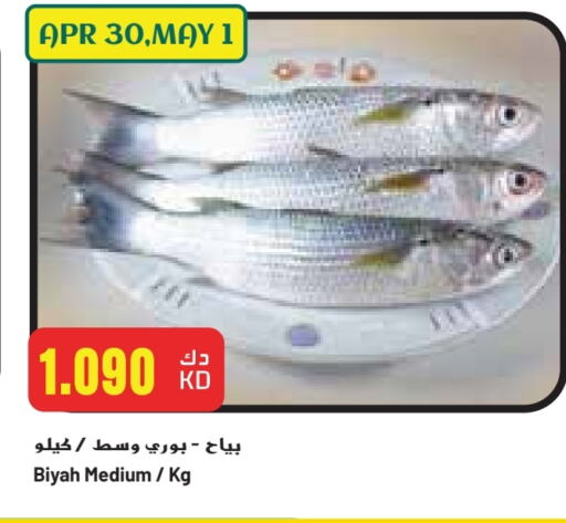 available at Grand Costo in Kuwait - Kuwait City