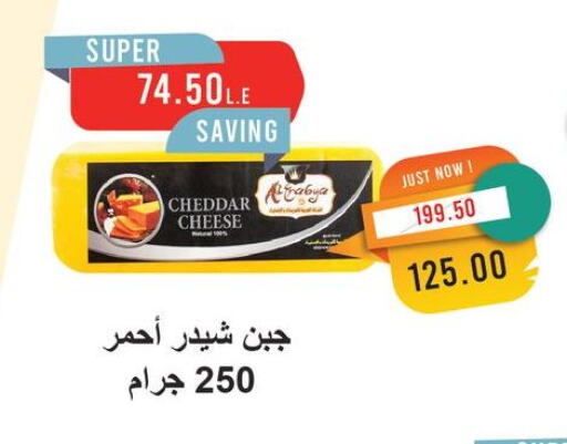 Cheddar Cheese available at Metro Market  in Egypt - Cairo