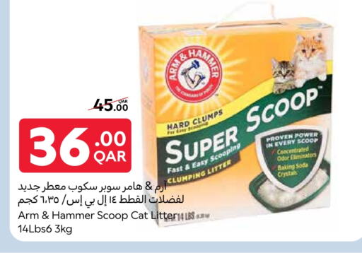 available at كارفور in قطر - الشحانية