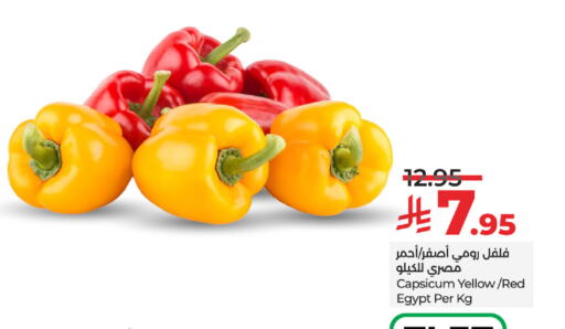 فلفل / فليفلة from Egypt available at لولو هايبرماركت in مملكة العربية السعودية, السعودية, سعودية - ينبع