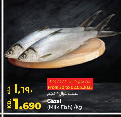 available at Lulu Hypermarket  in Kuwait - Kuwait City