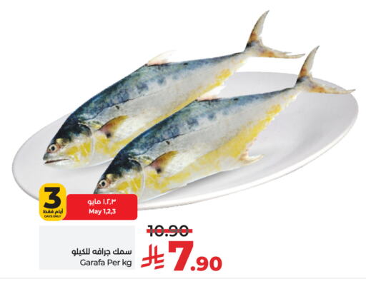Fresh Fish in LULU Hypermarket, Saudi Arabia Offers - Saudi Arabia available at LULU Hypermarket in KSA, Saudi Arabia, Saudi - Hail