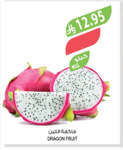فاكهة التنين available at المزرعة in مملكة العربية السعودية, السعودية, سعودية - عرعر