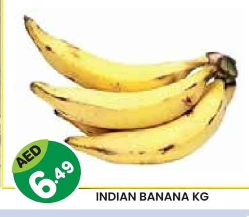فاكهة طازجة in سنابل بني ياس, UAE Offers - الإمارات العربية المتحدة موز from India available at سنابل بني ياس in الإمارات العربية المتحدة , الامارات - ٱلْعَيْن