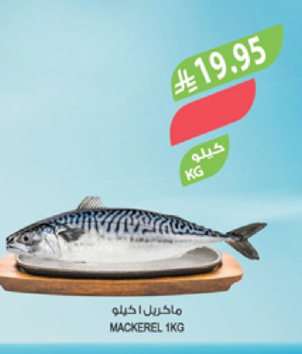 available at المزرعة in مملكة العربية السعودية, السعودية, سعودية - أبها