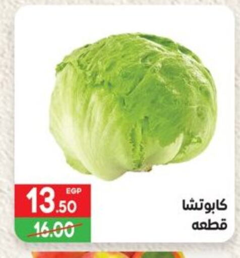 Fresh Vegetables in Hyper El Mansoura Shobra, Egypt Offers - Egypt available at Hyper El Mansoura Shobra in Egypt - Cairo