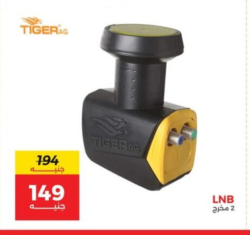 available at Raneen in Egypt - Cairo