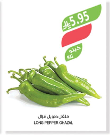 الخضروات الطازجة in المزرعة, المملكة العربية السعودية Offers - المملكة العربية السعودية فلفل / فليفلة available at المزرعة in مملكة العربية السعودية, السعودية, سعودية - الباحة