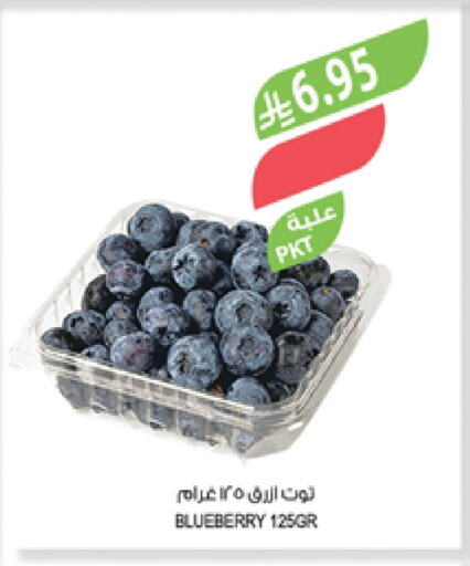 توت available at المزرعة in مملكة العربية السعودية, السعودية, سعودية - عرعر