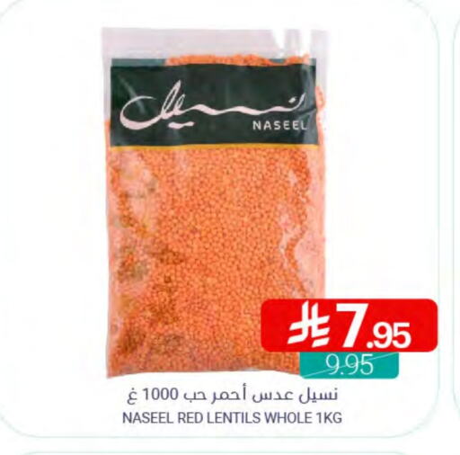 Pulses, Beans & Grains in Muntazah Markets, Saudi Arabia Offers - Saudi Arabia available at Muntazah Markets in KSA, Saudi Arabia, Saudi - Qatif