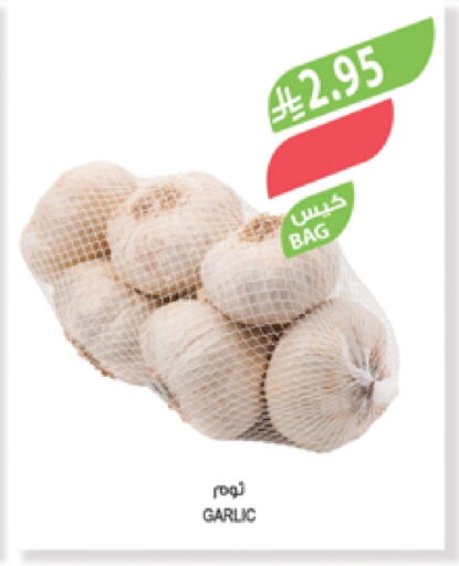 الخضروات الطازجة in المزرعة, المملكة العربية السعودية Offers - المملكة العربية السعودية ثوم available at المزرعة in مملكة العربية السعودية, السعودية, سعودية - الباحة