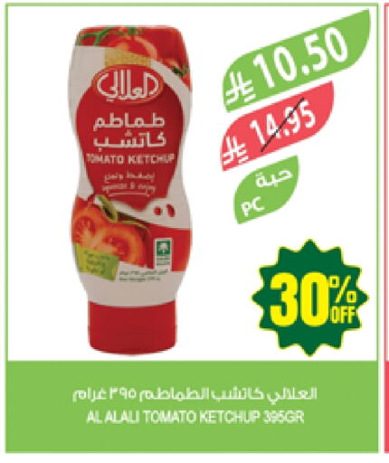 الصلصات والسبريد in المزرعة, المملكة العربية السعودية Offers - المملكة العربية السعودية العلالي كاتشب الطماطم available at المزرعة in مملكة العربية السعودية, السعودية, سعودية - الباحة
