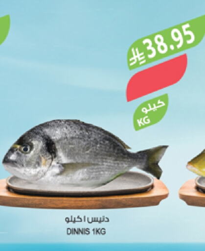 available at المزرعة in مملكة العربية السعودية, السعودية, سعودية - أبها