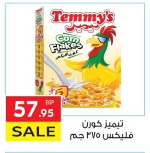 تيميز رقائق الذرة available at المحلاوي ماركت in Egypt - القاهرة