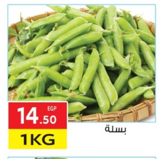 الخضروات الطازجة in المحلاوي ماركت, Egypt Offers - Egypt available at المحلاوي ماركت in Egypt - القاهرة