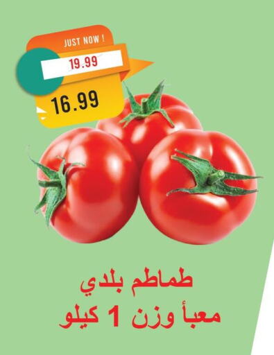 طماطم available at مترو ماركت in Egypt - القاهرة