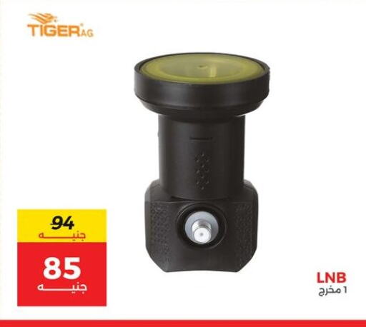 available at Raneen in Egypt - Cairo