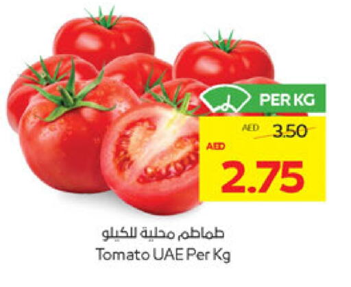 الخضروات الطازجة in أدكووب, UAE Offers - الإمارات العربية المتحدة طماطم available at أدكووب in الإمارات العربية المتحدة , الامارات - ٱلْعَيْن