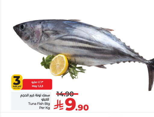 Fresh Fish in LULU Hypermarket, Saudi Arabia Offers - Saudi Arabia Tuna available at LULU Hypermarket in KSA, Saudi Arabia, Saudi - Hail