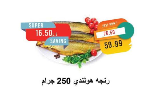 سمك مجمد in مترو ماركت, Egypt Offers - Egypt available at مترو ماركت in Egypt - القاهرة