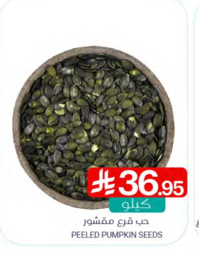 Pulses, Beans & Grains in Muntazah Markets, Saudi Arabia Offers - Saudi Arabia Pumpkin available at Muntazah Markets in KSA, Saudi Arabia, Saudi - Qatif