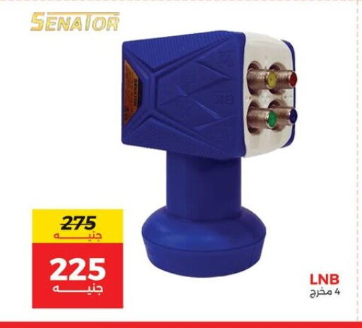 available at Raneen in Egypt - Cairo