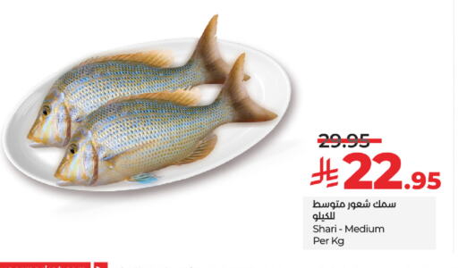available at لولو هايبرماركت in مملكة العربية السعودية, السعودية, سعودية - تبوك