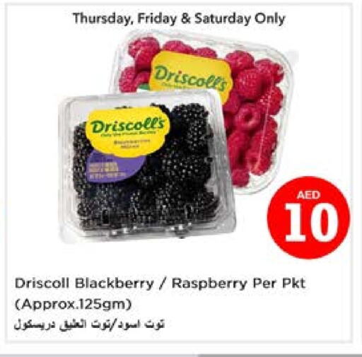 Blackberry Raspberry available at Nesto Hypermarket in UAE - Sharjah / Ajman