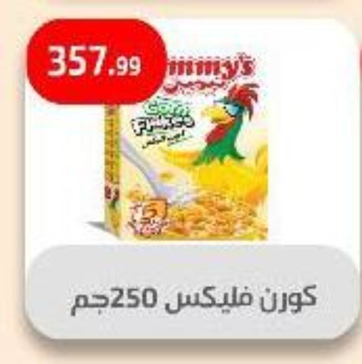 الحبوب والقطع in مؤسسة ايهاب البرنس, Egypt Offers - Egypt available at مؤسسة ايهاب البرنس in Egypt - القاهرة