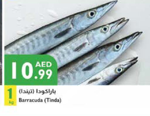 available at Istanbul Supermarket in UAE - Al Ain