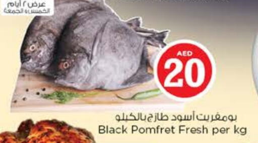 available at Nesto Hypermarket in UAE - Al Ain