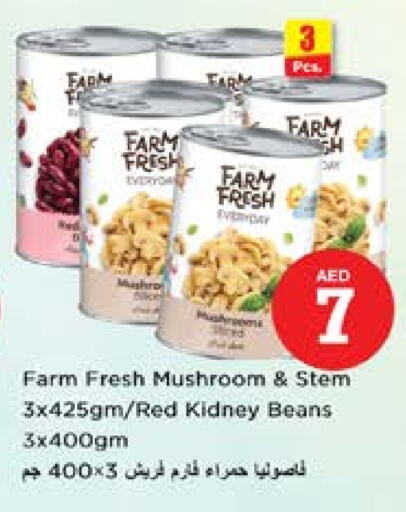 Mushroom available at نستو هايبرماركت in الإمارات العربية المتحدة , الامارات - الشارقة / عجمان