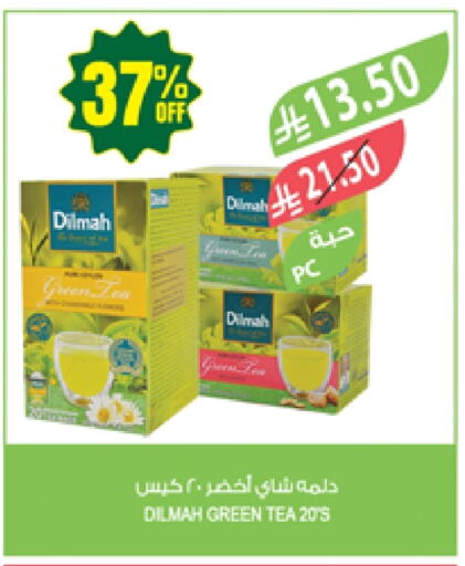 DILMAH Tea Bags available at Farm  in KSA, Saudi Arabia, Saudi - Jubail