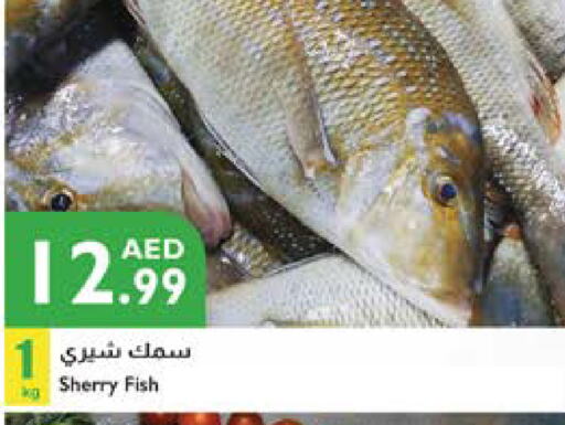 available at Istanbul Supermarket in UAE - Abu Dhabi