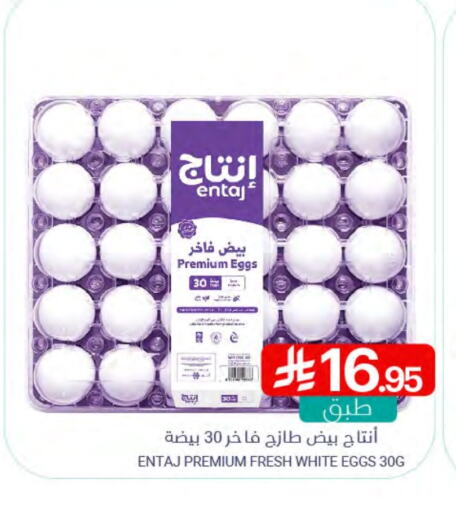 available at Muntazah Markets in KSA, Saudi Arabia, Saudi - Qatif