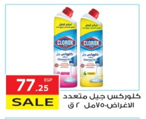 CLOROX General Cleaner available at El Mahallawy Market  in Egypt - Cairo