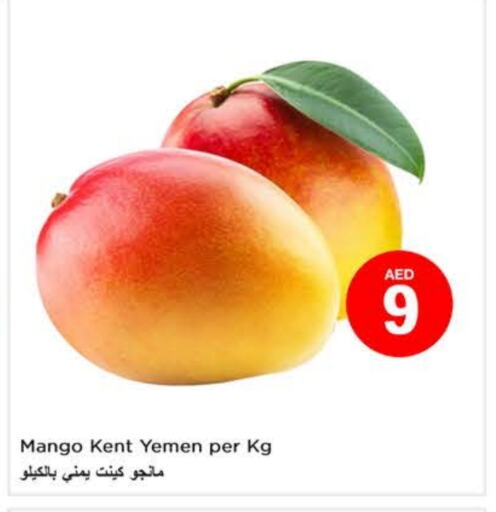 Mangoes from Yemen available at Last Chance  in UAE - Fujairah