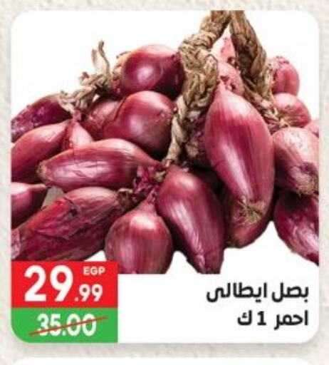 Fresh Vegetables in Hyper El Mansoura Shobra, Egypt Offers - Egypt Onion available at Hyper El Mansoura Shobra in Egypt - Cairo