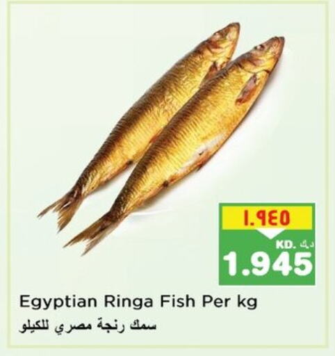 available at Nesto Hypermarkets in Kuwait - Ahmadi Governorate
