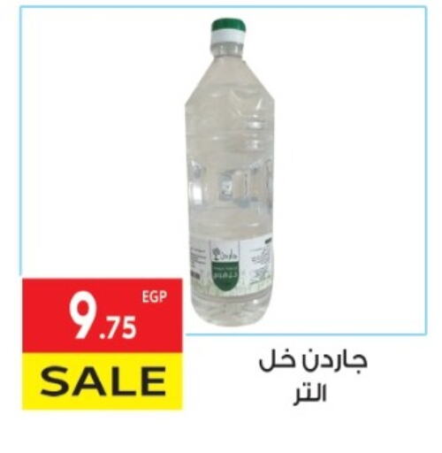 خل available at المحلاوي ماركت in Egypt - القاهرة