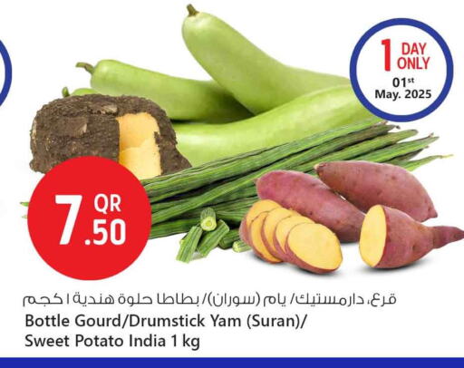 Sweet Potato from India available at سفاري هايبر ماركت in قطر - الشمال