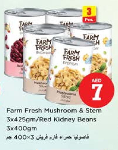Mushroom available at نستو هايبرماركت in الإمارات العربية المتحدة , الامارات - الشارقة / عجمان