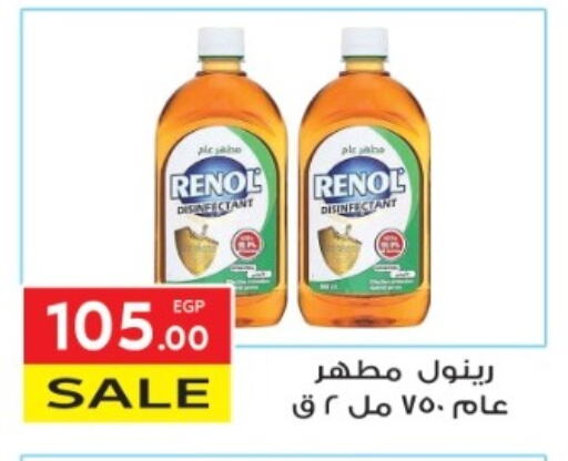 Disinfectant available at El Mahallawy Market  in Egypt - Cairo