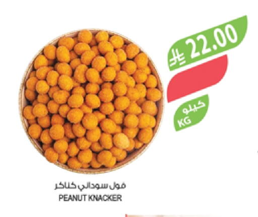 available at Farm  in KSA, Saudi Arabia, Saudi - Arar