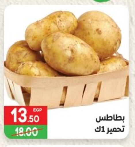 Fresh Vegetables in Hyper El Mansoura Shobra, Egypt Offers - Egypt Potato available at Hyper El Mansoura Shobra in Egypt - Cairo