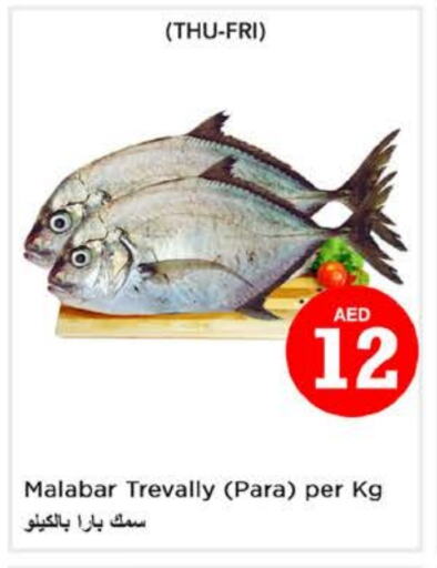 available at Nesto Hypermarket in UAE - Al Ain
